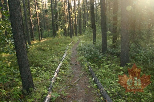 Hiking Trail