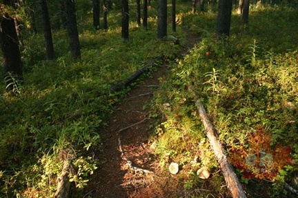 Hiking Trail