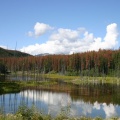 Marsh