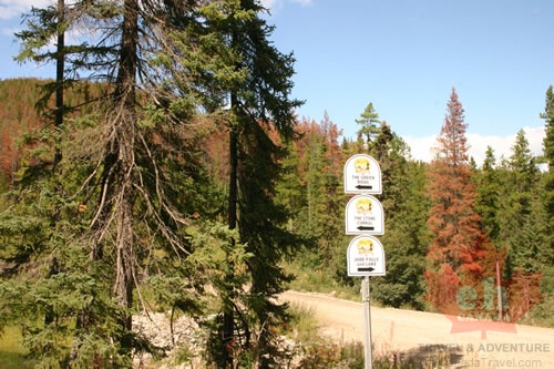 Directional Signs