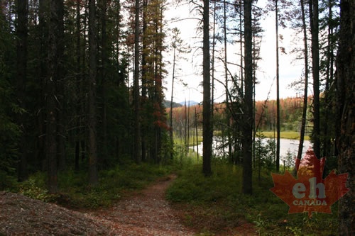 Hiking Trail