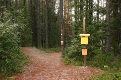 Hiking Trail
