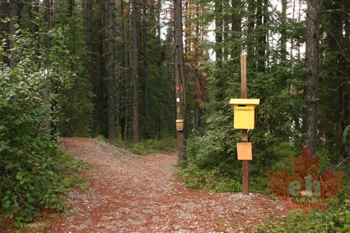 Hiking Trail