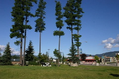 Picnic Park