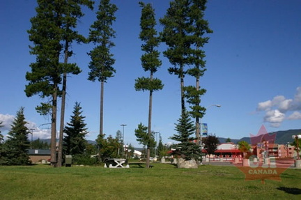 Picnic Park