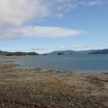 Shoreline