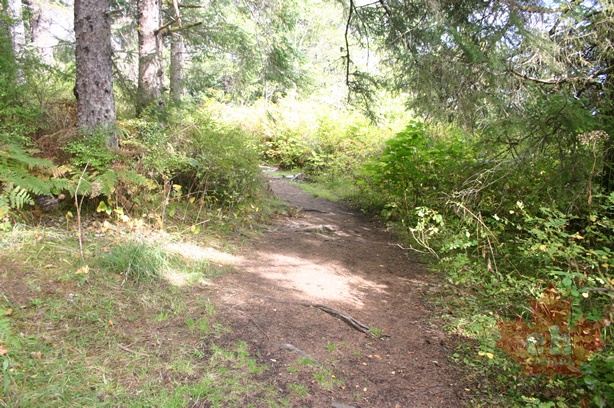 Walking Path