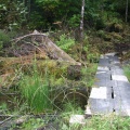 Hiking Trail