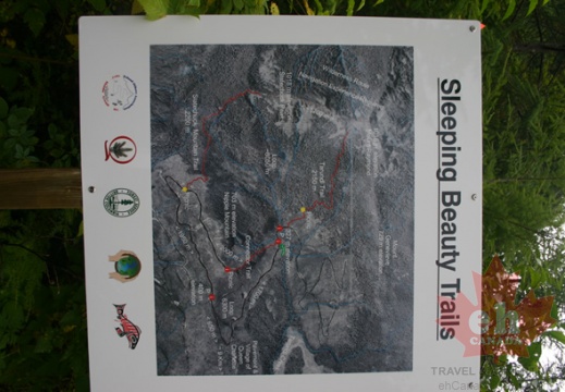 Trail Map (707 visits) Map of the many rugged wilderness hiking trails in the region Trail Map