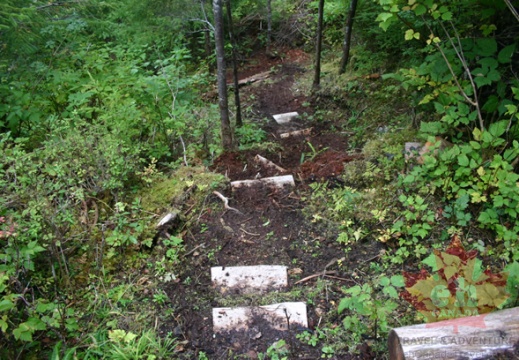 Log Steps (927 visits) Slippery going on this trail... be prepared for weather chages Log Steps