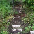 Log Steps