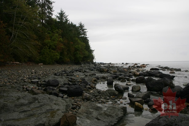 Rocky Shoreline