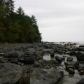 Rocky Shoreline