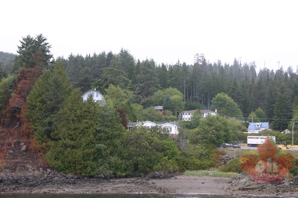 Skidegate Homes