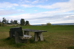Viewing Bench