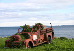 Weeding out the Fires (935 visits, rating score 4.46) Old Fire truck overcome by green Weeding out the Fires