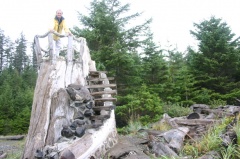 Driftwood Lookout Tower