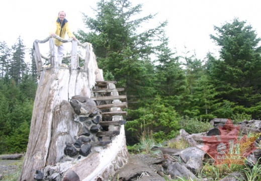 Driftwood Lookout Tower