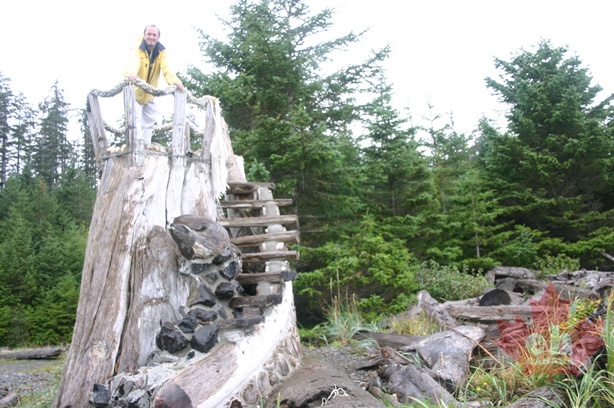 Driftwood Lookout Tower