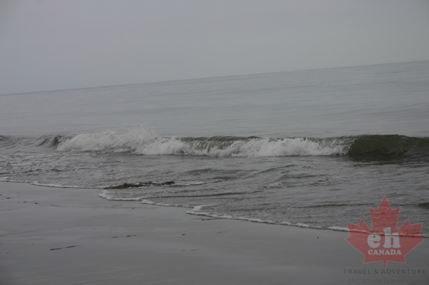 Rolling Waves