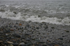 Tides are Changing