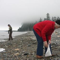 Agate Beach