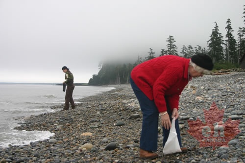 Agate Beach - display this album Agate Beach