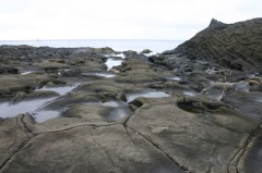 Lava Rock