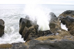 Nature's Forces at Work