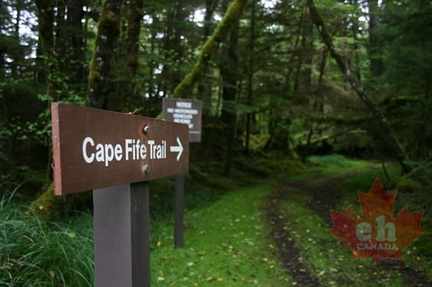 Trailhead