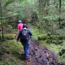 Cape Fife Trail