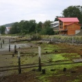Low Tide in New Masset
