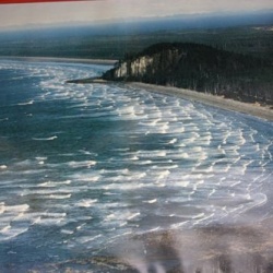 Masset