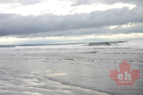 Waves a Crashing (899 visits) Rolling waves crash the shores of North Beach Waves a Crashing