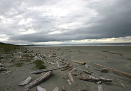 Sandy Beach (687 visits) Beach goes for miles Sandy Beach