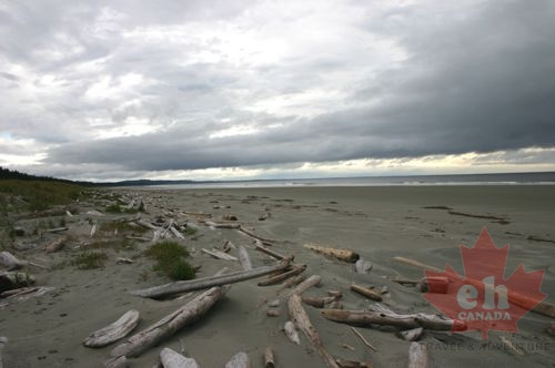 Sandy Beach (833 visits) Beach goes for miles Sandy Beach