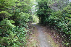 Walking Trail
