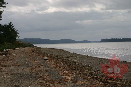 South Beach (1062 visits) One of many remote beaches on the island South Beach