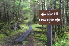 tow_hill_blow_hole_trail_naikoon_provincial_park03.jpg