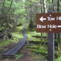Directional Signs