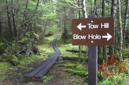 Directional Signs