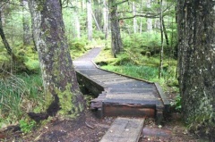 tow_hill_blow_hole_trail_naikoon_provincial_park04.jpg