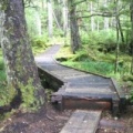 Boardwalk Trail