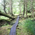 Boardwalk Trail