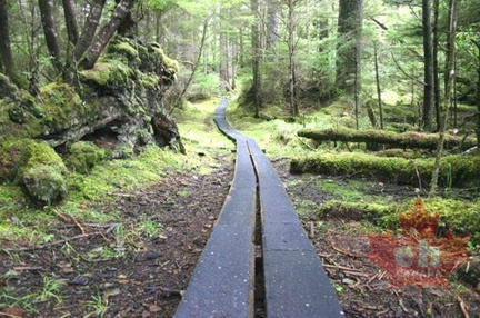 Boardwalk Trail