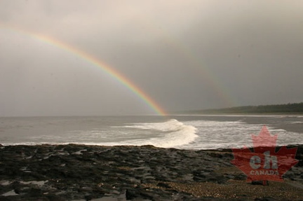 Rainbow Pot of Gold