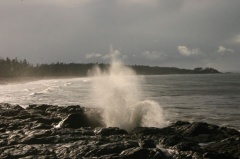 blow_hole 005.jpg