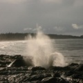 Blow Hole