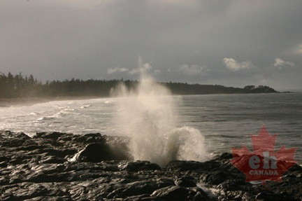 Blow Hole