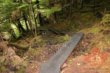 Boardwalk Bridge